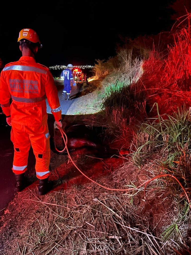 cavalo-morre-apos-ser-atropelado-na-br-352-em-para-de-minas