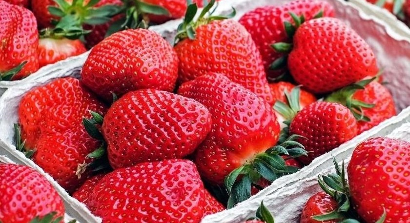 para-alem-do-cafe-com-leite:-conheca-outras-culturas-mineiras-que-batem-recorde-no-pais