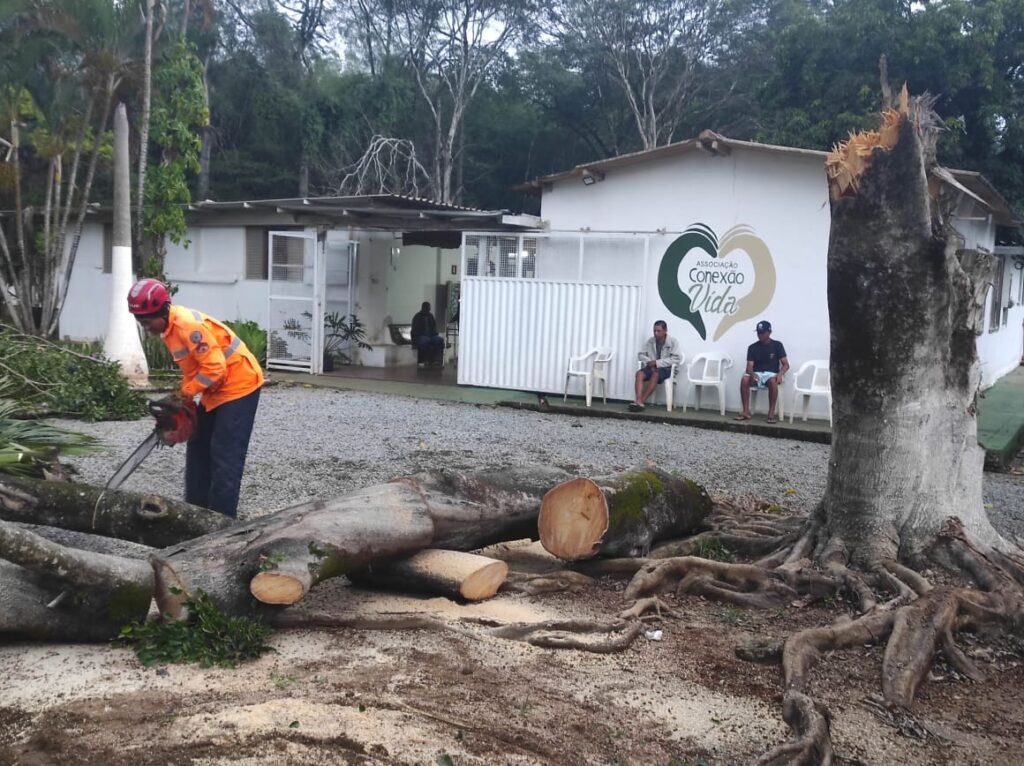 arvore-de-grande-porte-cai-e-bloqueia-acesso-a-clinica-durante-chuva-em-arcos