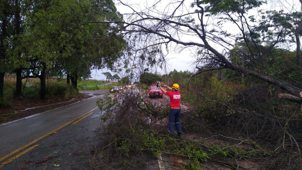 tarde-chuvosa-provoca-queda-de-arvores-e-interdicoes-pontuais-em-claudio-e-carmo-da-mata