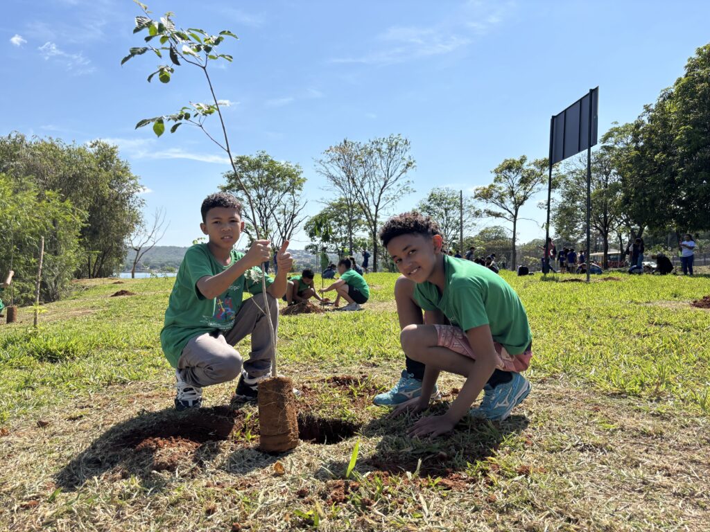 bosque-do-amanha:-programa-do-governo-de-minas-mobiliza-criancas-no-plantio-de-mais-de-12-mil-mudas-em-2025