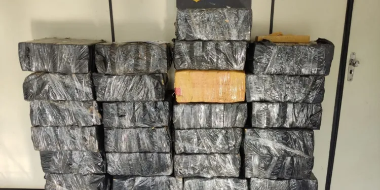 mais-de-500-kg-de-maconha-sao-apreendidos-e-carro-roubado-e-recuperado-pela-prf