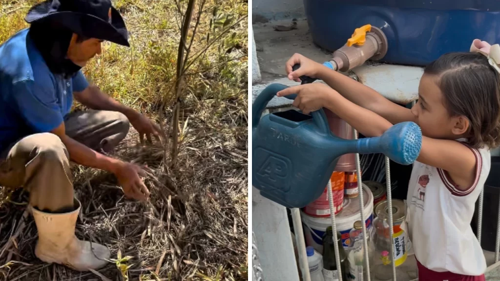 portal-gerais-e-finalista-do-premio-copasa-de-jornalismo