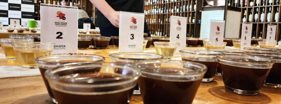 concurso-de-qualidade-dos-cafes-de-minas-gerais-realiza-ultima-etapa-de-avaliacoes-em-bh