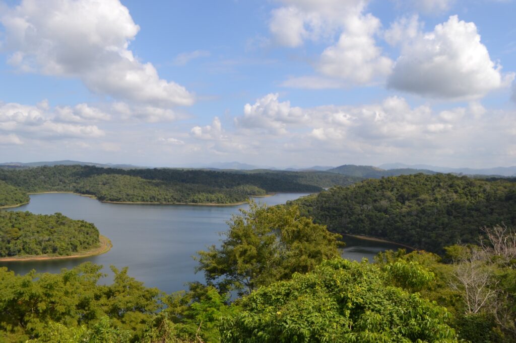 meio-ambiente-detalha-acoes-ambientais-do-primeiro-ano-do-novo-acordo-de-reparacao-do-rio-doce