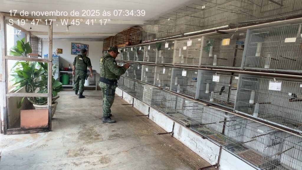 dois-homens-sao-presos-e-mais-de-r$-387-mil-em-multas-sao-aplicadas-em-acao-ambiental-em-luz