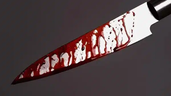 adolescente-de-15-anos-e-apreendido-apos-matar-padrasto-a-facadas-para-defender-a-mae-em-bom-despacho