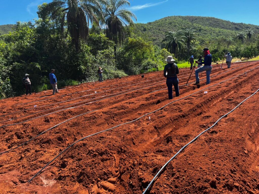 projeto-fortalece-producao agropecuaria-no-norte-de-minas-e-vales-do-jequitinhonha-e-mucuri 