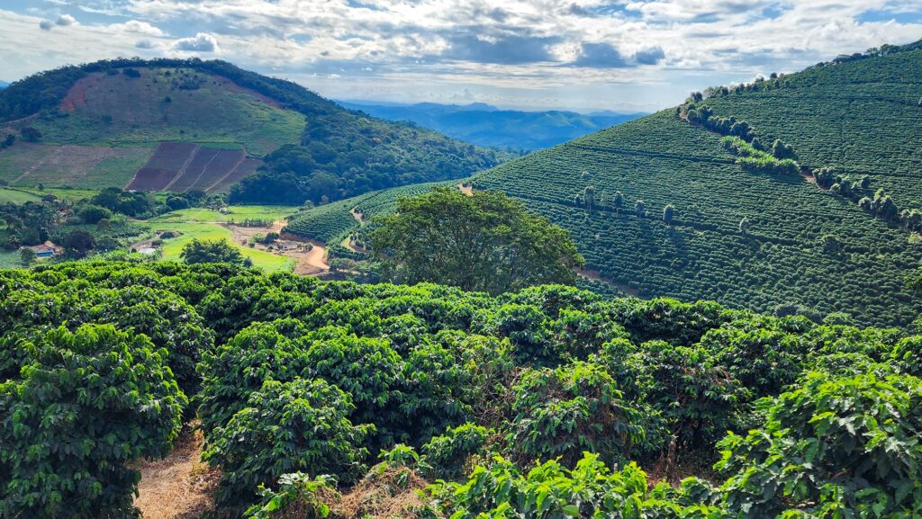 valor-bruto-da-producao-agropecuaria-mineira-deve-alcancar-valor-recorde-de-r$-168,1-bilhoes-em-2025
