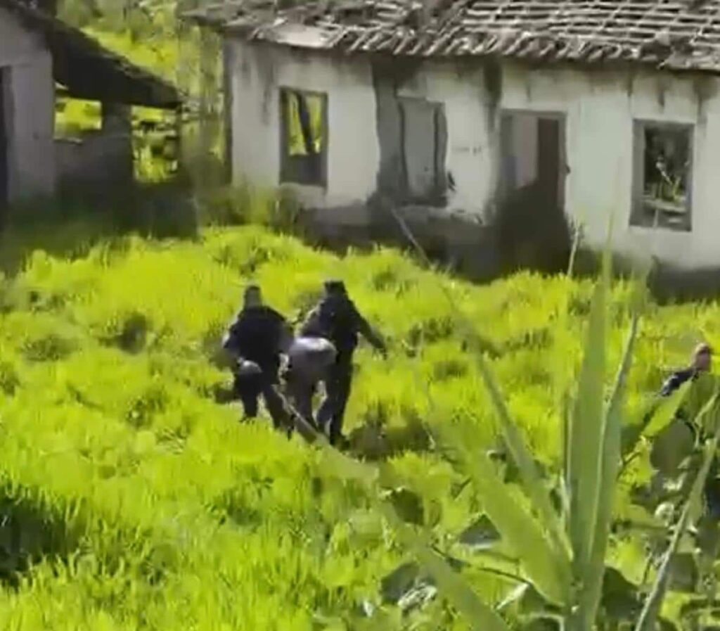 ultimo-foragido-da-penitenciaria-de-formiga-e-capturado-em-area-rural-de-pedra-do-indaia