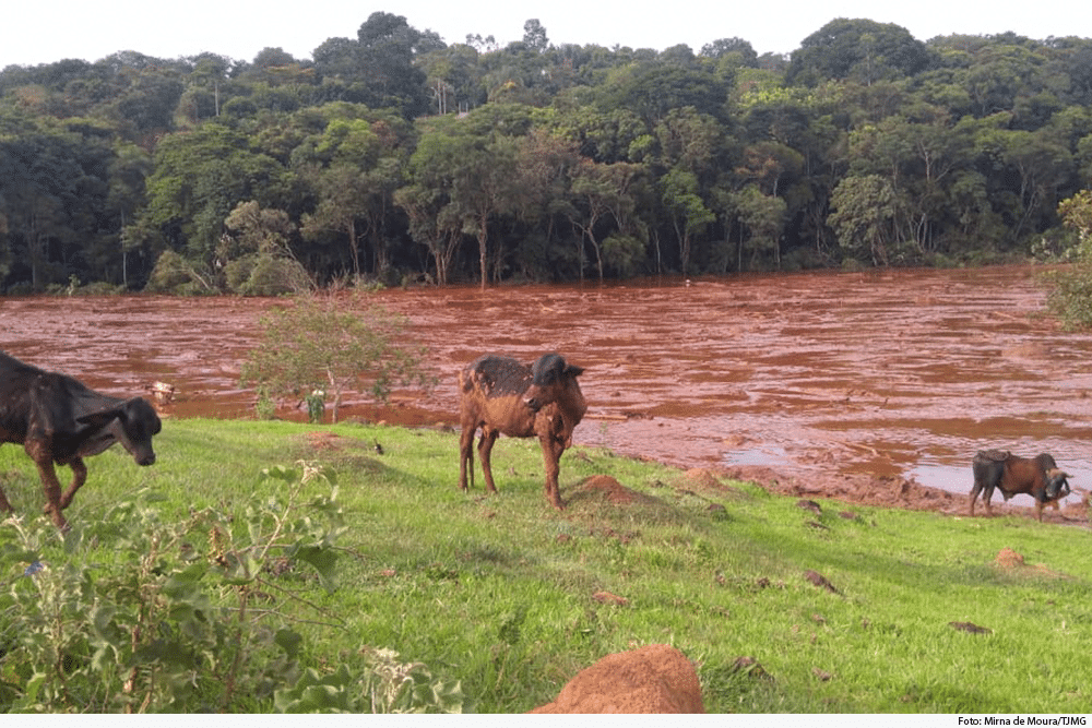 justica-determina-que-vale-transfira-r$-234-milhoes-para-atingidos