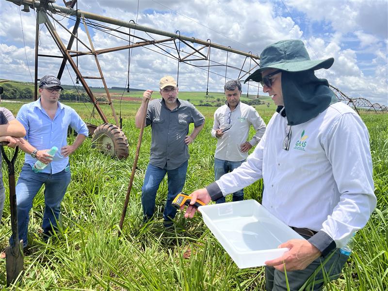 produtores-rurais-projetam-ampliar-produtividade-e-reduzir-custos-apos-capacitacao-em-pecuaria-sustentavel-do-bdmg