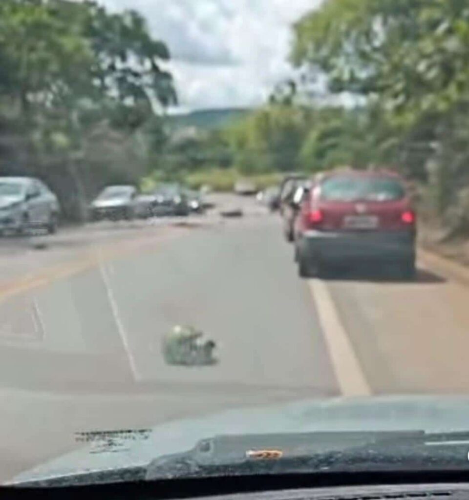 motociclista-morre-em-colisao-com-carreta-na-mg-431-em-itauna;-veja-o-video