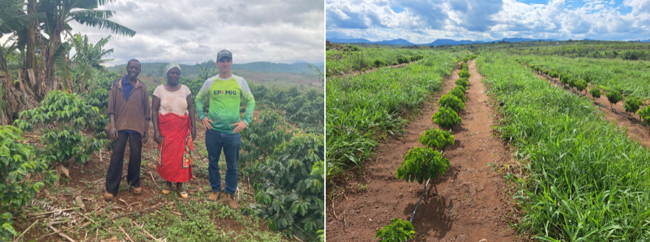 epamig-participa-de-missao-tecnica-para-a-atividade-cafeeira-em-mocambique