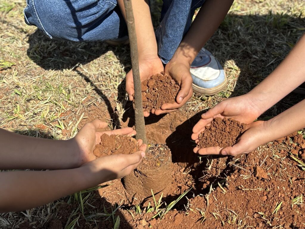 minas-gerais-tem-avanco-historico-na-regularizacao-ambiental-e-producao-de-mudas-nativas-em-2025