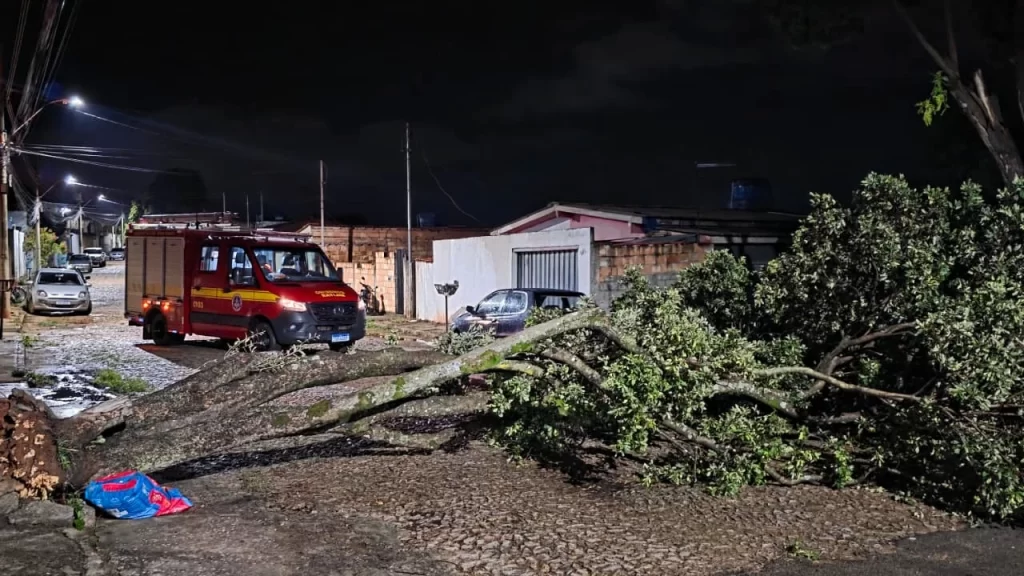 arvore-cai-durante-chuva-e-bloqueia-rua-em-para-de-minas