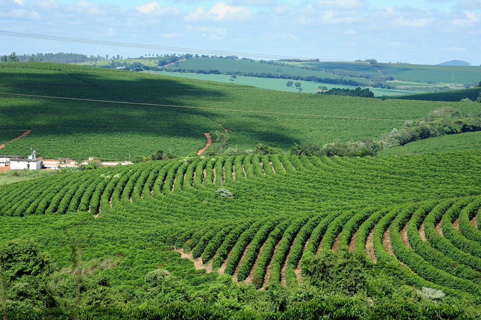 pib de-minas-gerais-alcanca-r$-290,1-bilhoes-no-terceiro-trimestre-e-cresce-1,1%-em-relacao-ao-mesmo-periodo-de-2024