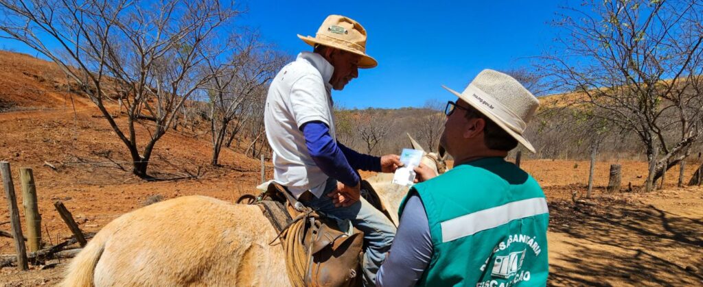 acoes-do-instituto-mineiro-de-agropecuaria-marcam-o-desenvolvimento-do-agro-mineiro-em-2025