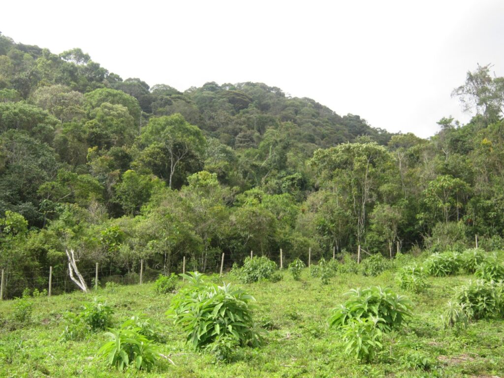 icms-ecologico-passa-a-integrar-painel-de-indicadores-do-sisema-e-ja-soma-mais-de-r$-1-bilhao-em-repasses-aos-municipios