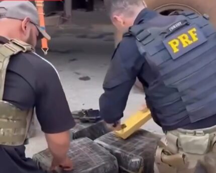 mais-de-1,3-tonelada-de-maconha-e-apreendida-na-br-262-durante-operacao-conjunta-em-bom-despacho