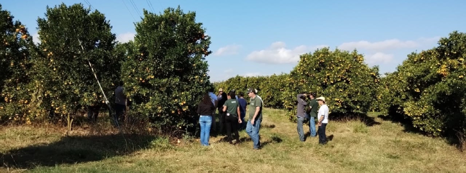 emater-orienta-sobre-manejo-e-produtividade-da-fruticultura-durante-a-safra-de-verao