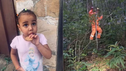 apelo-de-mae:-buscas-por-menina-autista-desaparecida-em-minas-gerais-entram-no-segundo-dia-com-uso-de-drones-e-caes-farejadores