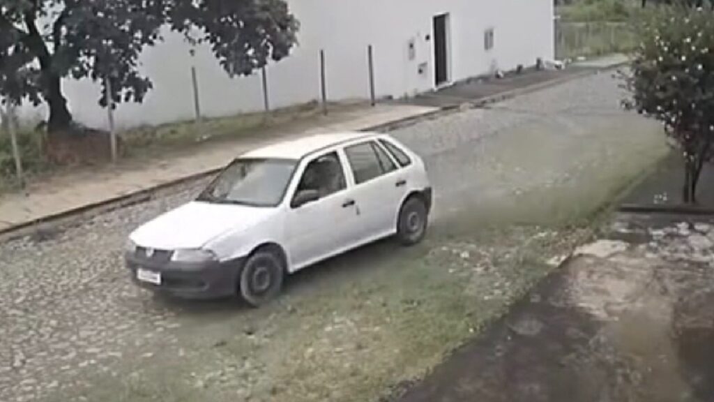 video:-pc-investiga-atropelamento-proposital-que-matou-cadela-em-divinopolis