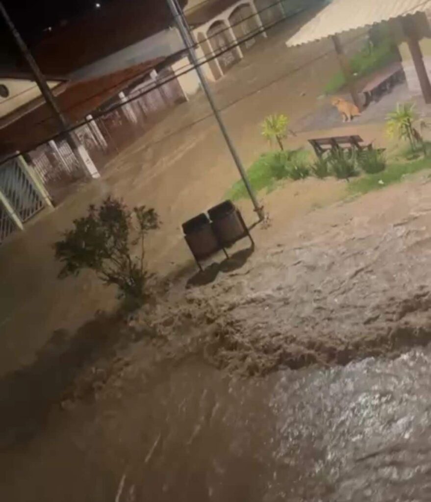chuvas-intensas-provocam-enxurrada-e-alagam-dezenas-de-residencias-em-pedra-do-indaia;-veja-o-video