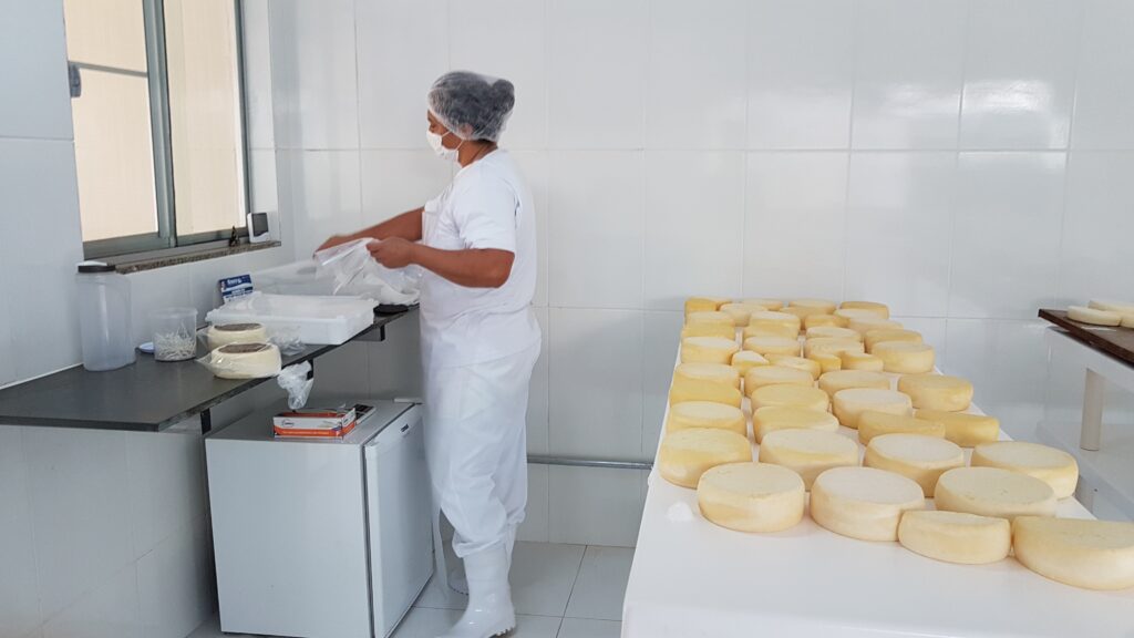 dia-mundial-do-queijo:-em-minas,-agroindustrias-familiares-produziram-43-mil-toneladas-em-2025
