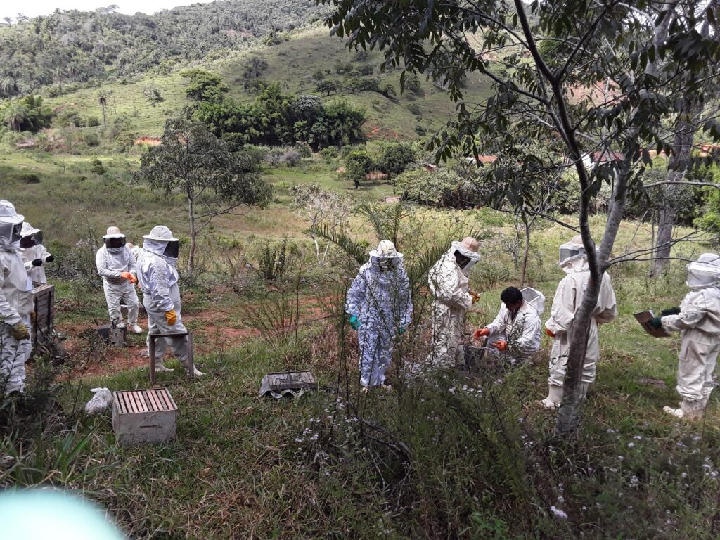 idene-doa-kits-a-apicultores-para-expansao-das-atividades