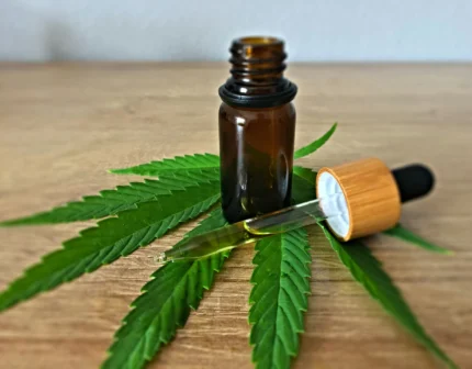 anvisa-apresenta-proposta-que-regulamenta-producao,-cultivo-e-pesquisa-da-cannabis-medicinal-no-brasil