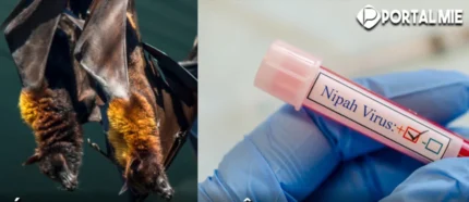 surto-do-virus-nipah-deixa-india-em-alerta-e-acende-sinal-vermelho-em-aeroportos-da-asia