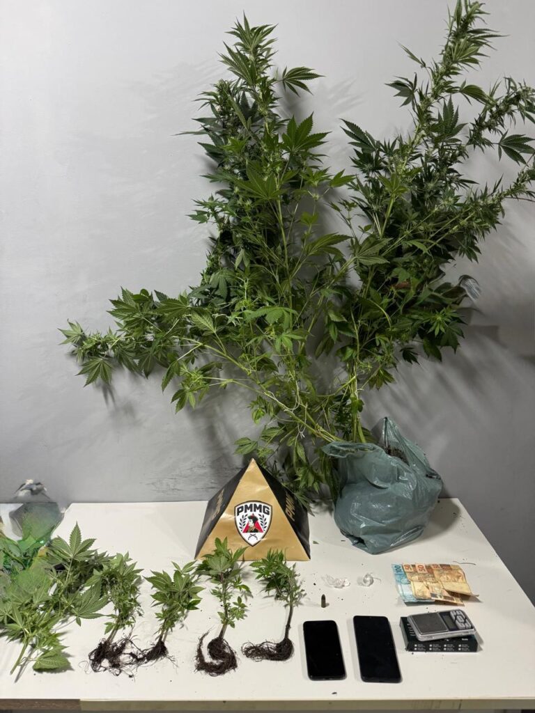 pm-desarticula-ponto-de-trafico-em-formiga-e-encontra-pes-de-maconha,-cocaina,-dinheiro-e-municao-de-uso-restrito