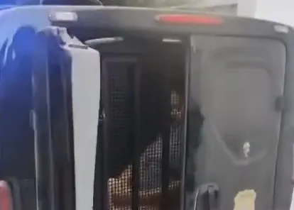 sogra-e-presa-suspeita-de-incentivar-filho-a-matar-a-propria-esposa