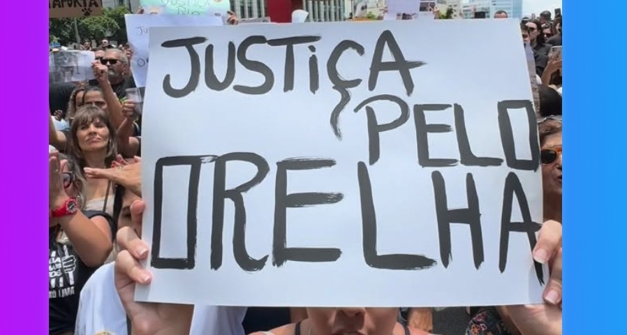protestos-pelo-brasil-pedem-justica-pela-morte-do-cao-orelha;-paulista-e-bh-tem-atos-em-massa