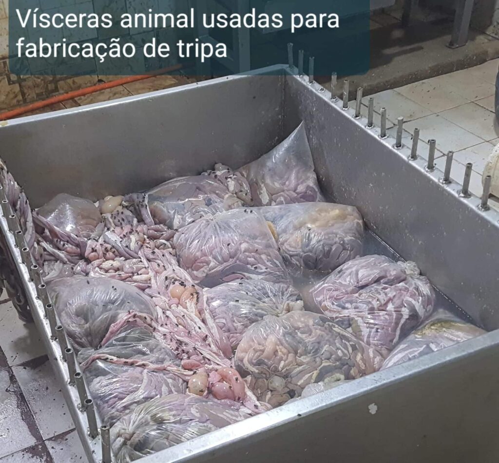 fabrica-de-tripa-suina-e-interditada-por-poluicao-ambiental-na-regiao-da-comunidade-do-choro-em-divinopolis