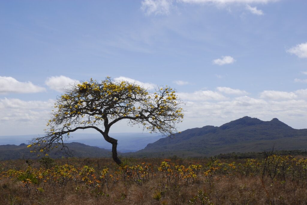 governo-de-minas-abre-roadshow-do-projeto-de-concessao-turistica-do-parque-estadual-do-biribiri