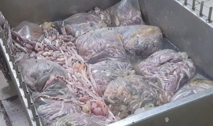 pm-interdita-fabrica-de-linguica-em-divinopolis-apos-encontrar-carne-armazenada-de-forma-irregular