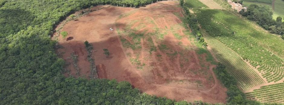 operacao-no-sul-de-minas-identifica-desmate-irregular-e-aplica-r$-1,3-milhao-em-multas-ambientais