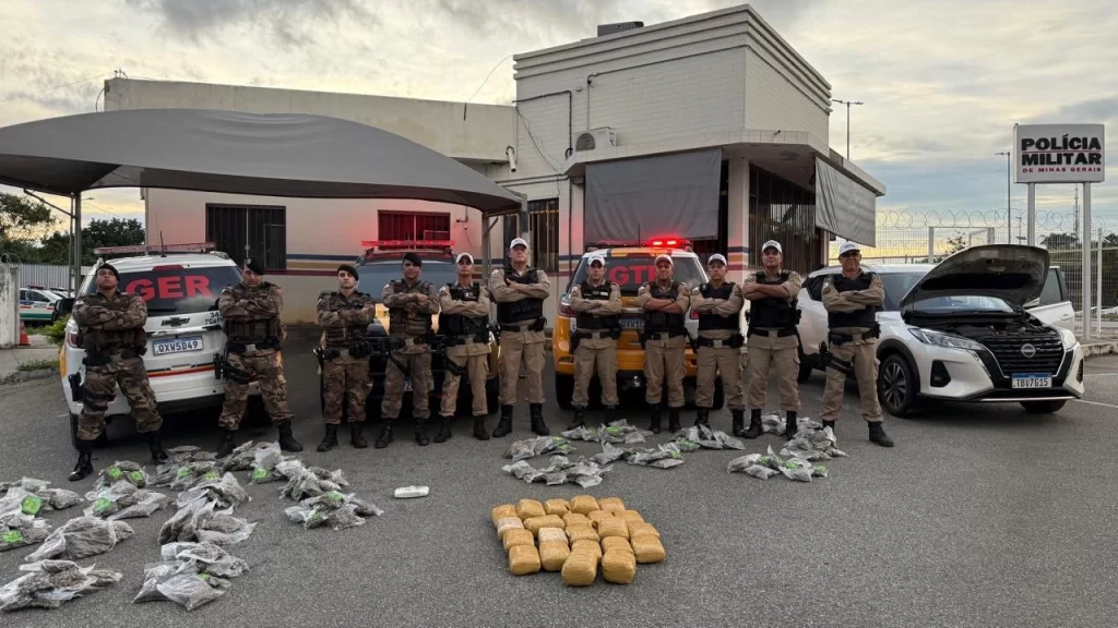 policia-apreende-carga-milionaria-de-drogas-na-mg-050