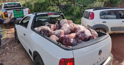 policia-militar-apreende-800-kg-de-carne-de-abate-clandestino-em-campo-belo;-autor-e-reincidente-e-segue-foragido