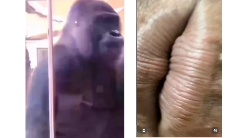 vereadora-acusa-video-de-prefeito-de-divinopolis-de-racismo-e-aciona-mp