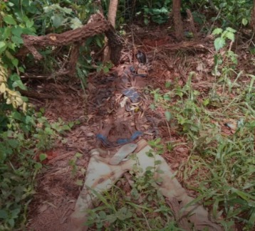 ossada-humana-e-encontrada-as-margens-de-estrada-rural-em-papagaios