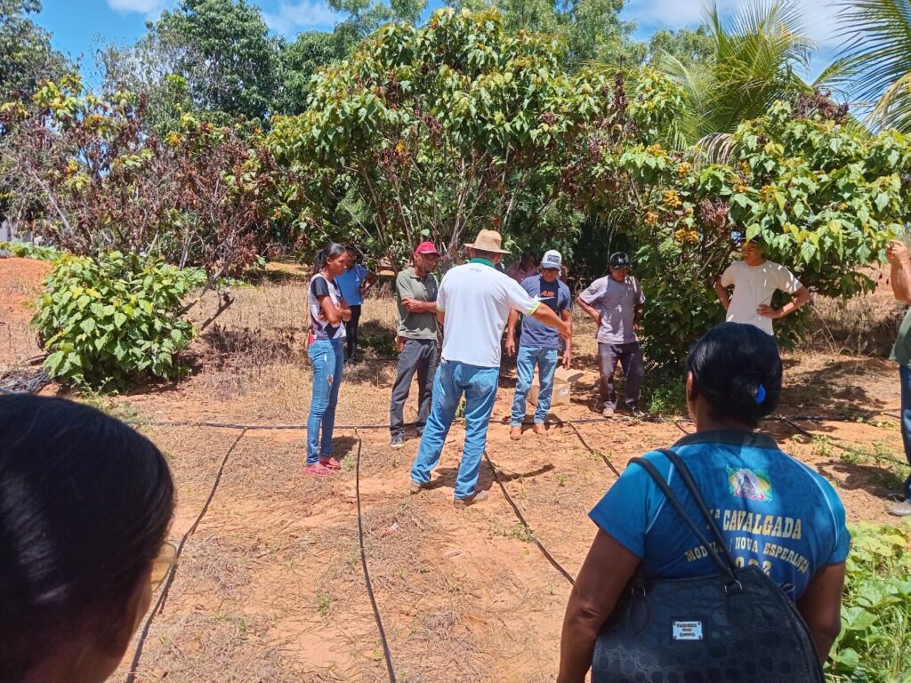 kits-irrigacao-doados-pelo-idene-vao-impulsionar-a-producao-de-hortalicas-em-verdelandia
