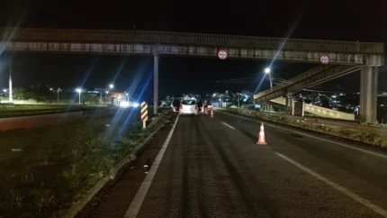 atropelamento-no-km-128:-mulher-de-46-anos-morre-na-mg-050;-motorista-alegou-travessia-inesperada