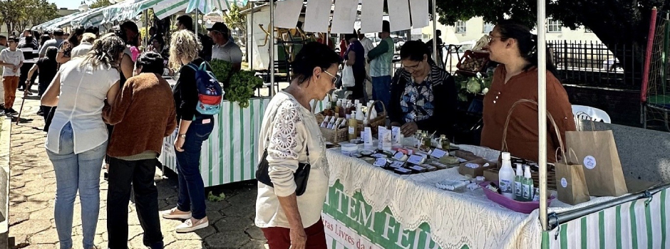 programa-de-doacao-de-kits-feira-esta-com-edital-aberto-para-a-selecao-de-novos-municipios