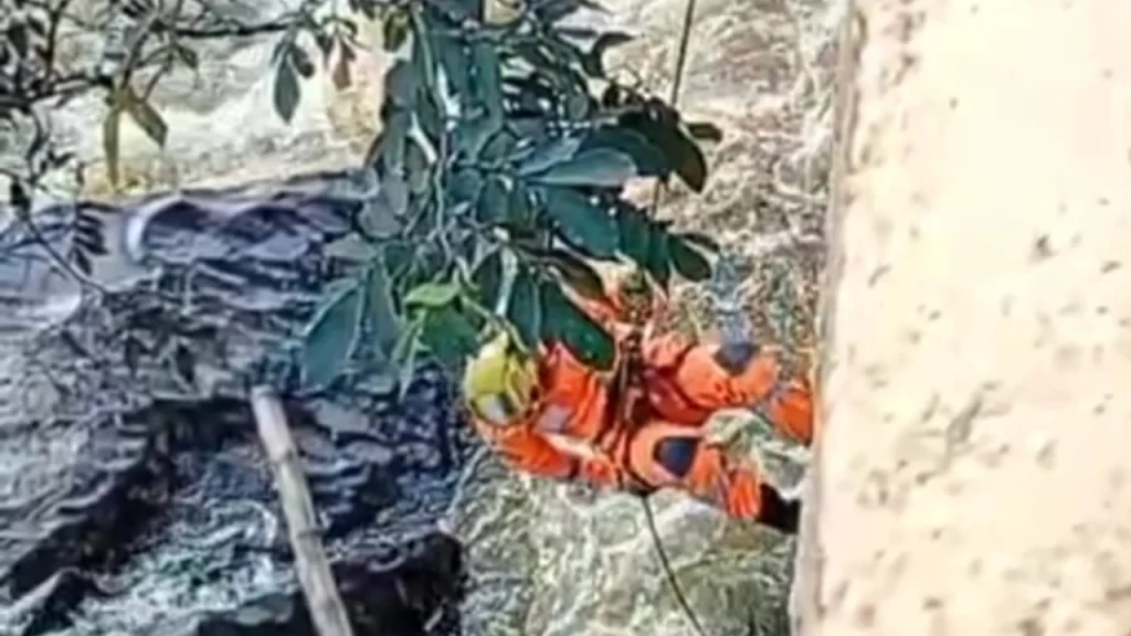 bombeiros-salvam-jovem-de-22-anos-apos-queda-de-ponte-em-divinopolis