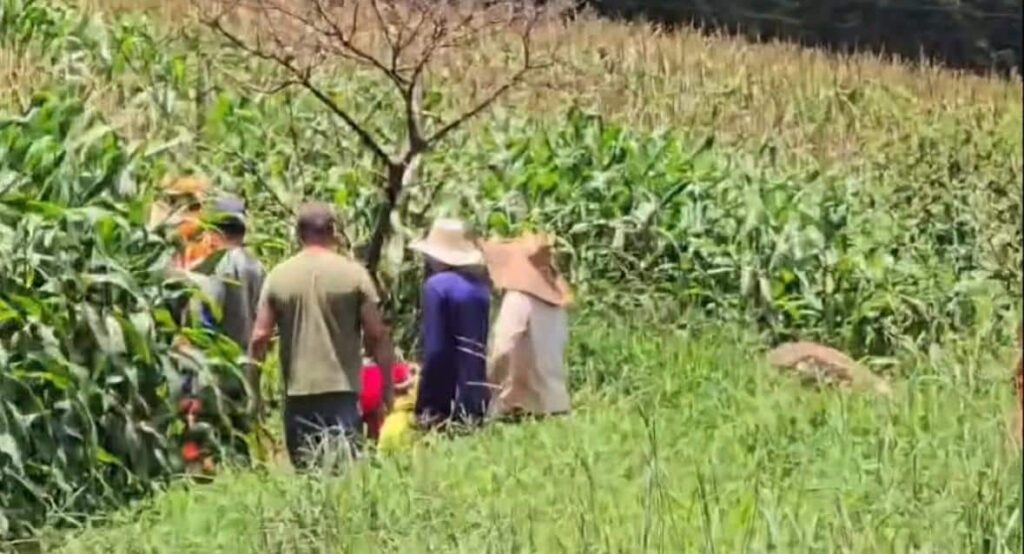 idoso-desaparecido-por-tres-dias-e-encontrado-com-vida-em-area-rural-proxima-a-pequi;-veja-o-video