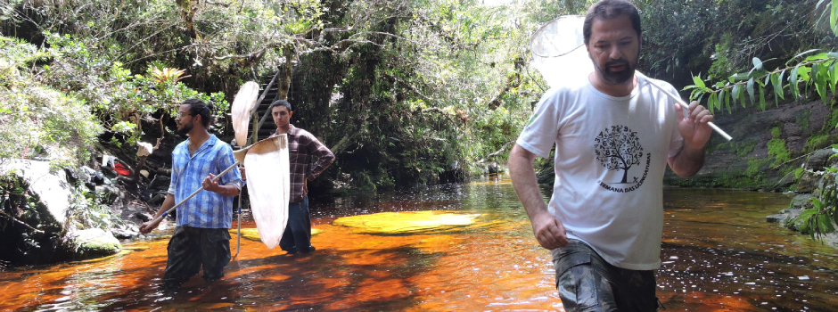 pesquisas-cientificas-avancam-nos-parques-estaduais-e-fortalecem-a-conservacao-da-biodiversidade-em-minas-gerais