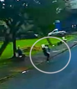 camera-registra-momento-em-que-mulher-sobrevive-apos-ser-atingida-por-arvore-de-grande-porte-enquanto-caminhava